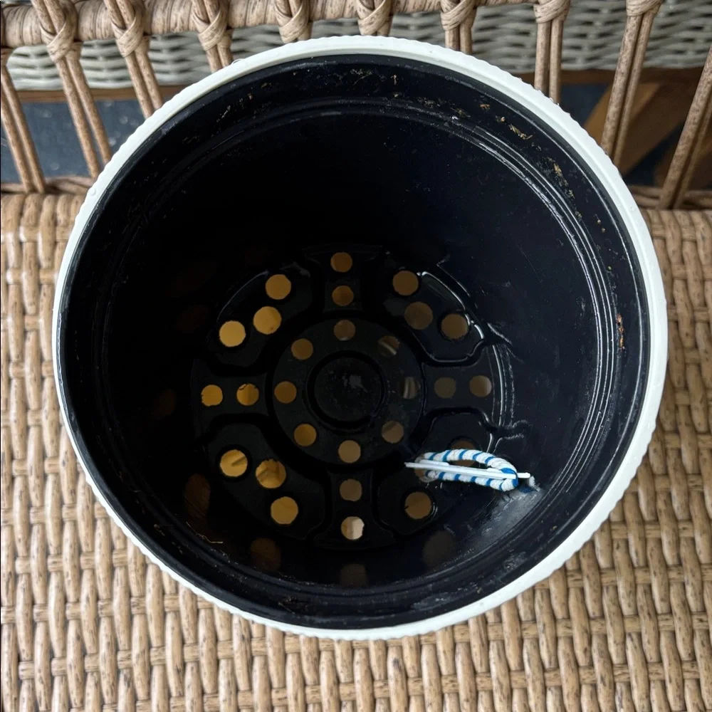 Self watering planter (Plastic) - Picture 2 of 3